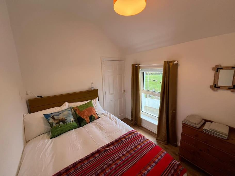 The Alpaca Farmhouse With Hot Tub And Alpaca Experience Included Dromara Extérieur photo