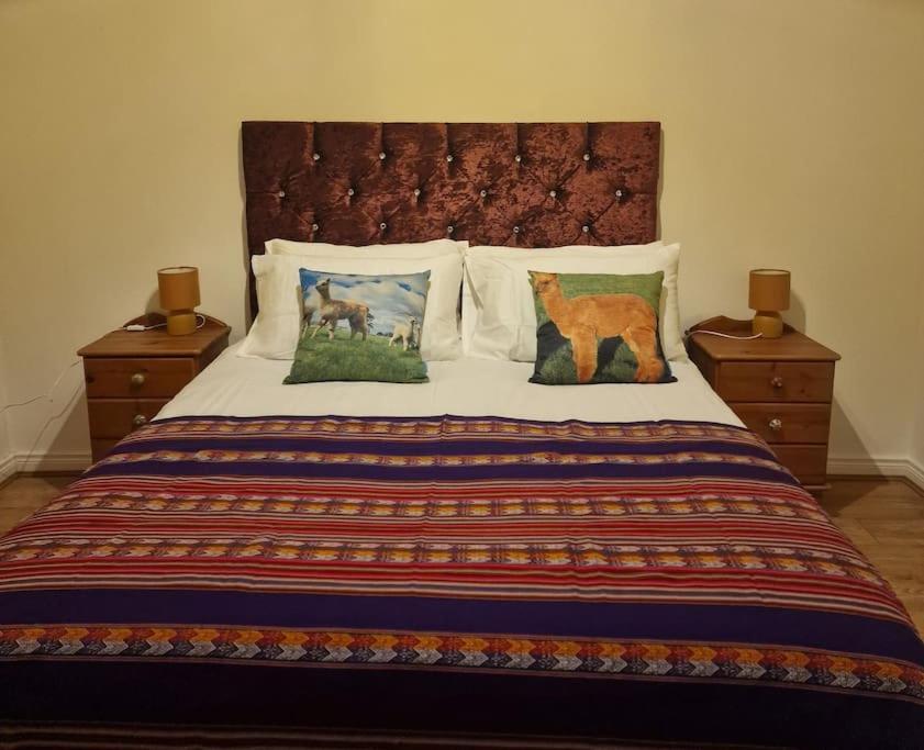 The Alpaca Farmhouse With Hot Tub And Alpaca Experience Included Dromara Extérieur photo