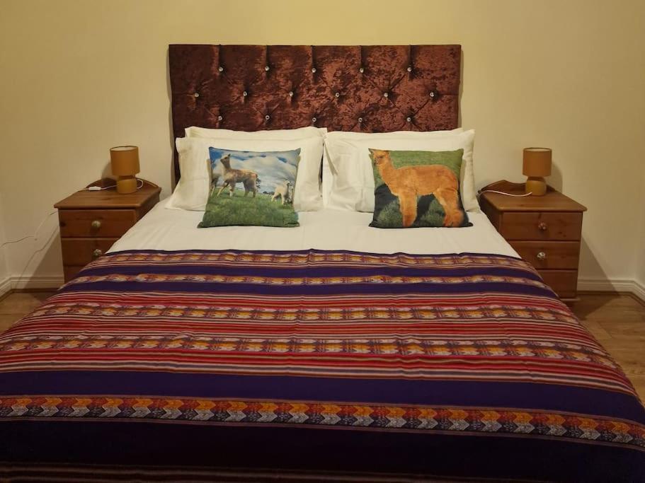 The Alpaca Farmhouse With Hot Tub And Alpaca Experience Included Dromara Extérieur photo