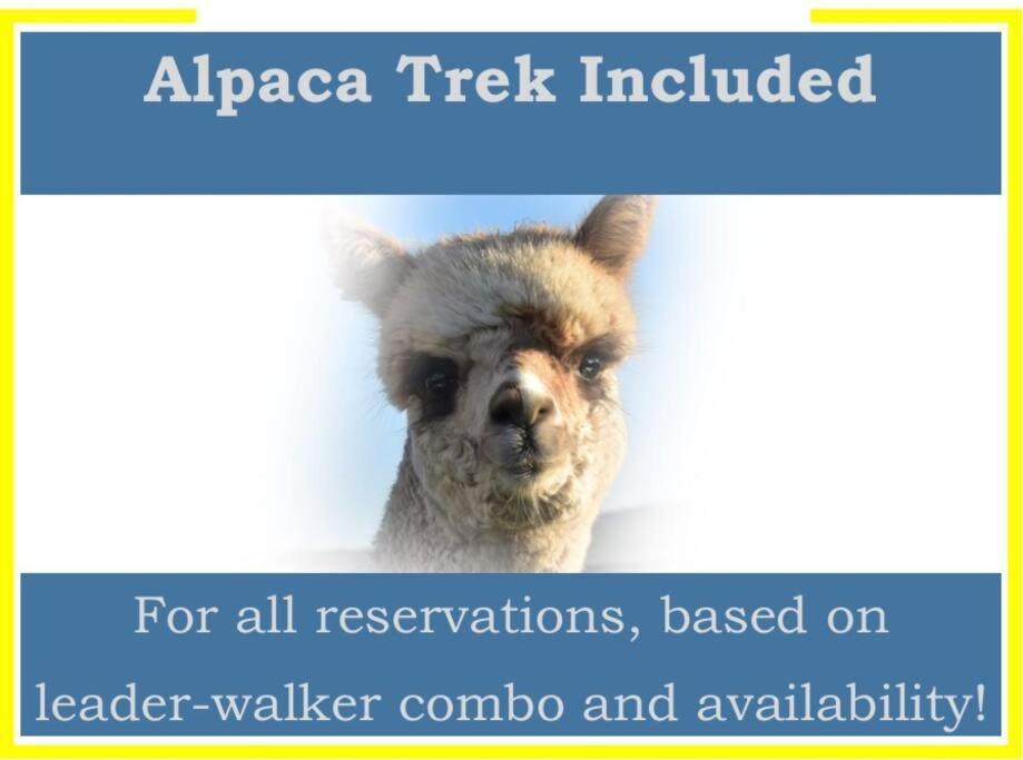The Alpaca Farmhouse With Hot Tub And Alpaca Experience Included Dromara Extérieur photo