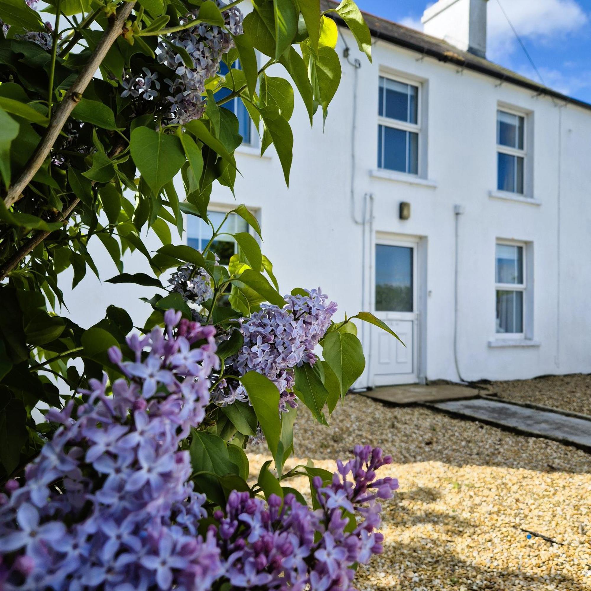 The Alpaca Farmhouse With Hot Tub And Alpaca Experience Included Dromara Extérieur photo